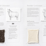 The Wonder of Wool - A Knitter's Guide to pure breed sheep