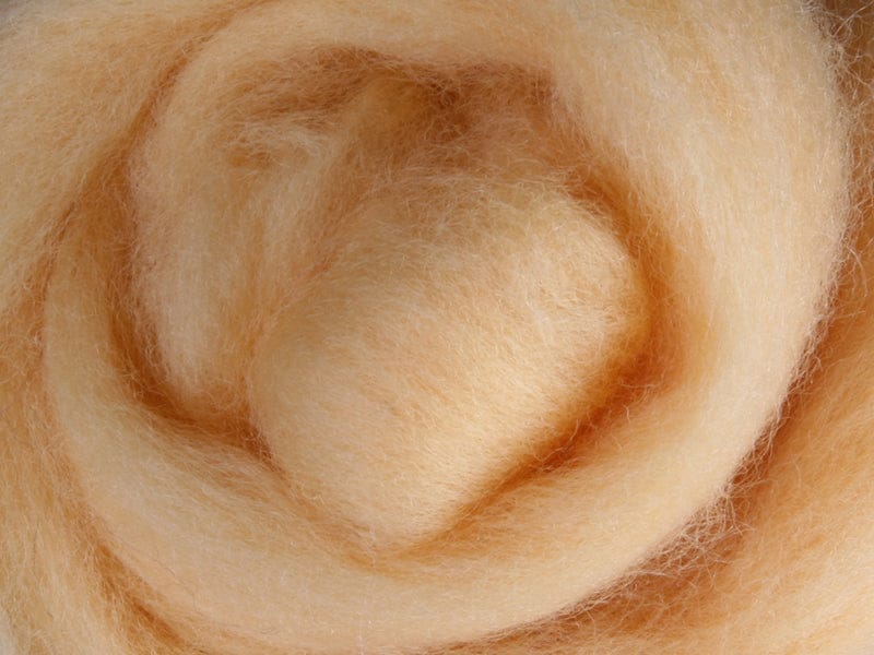 Ashford - Corriedale Dyed Sliver