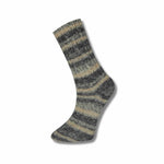 Fiddlesticks Socks 170-02 Grey / Blue 
