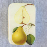 Firefly Notes Stitch Marker Tins Botanical Pear Small