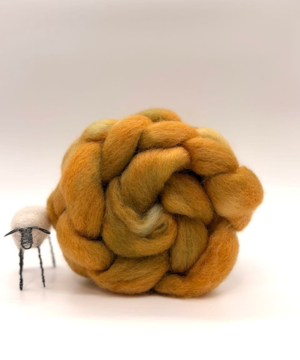 Hand dyed Cloverleaf Corriedale - On the Ply