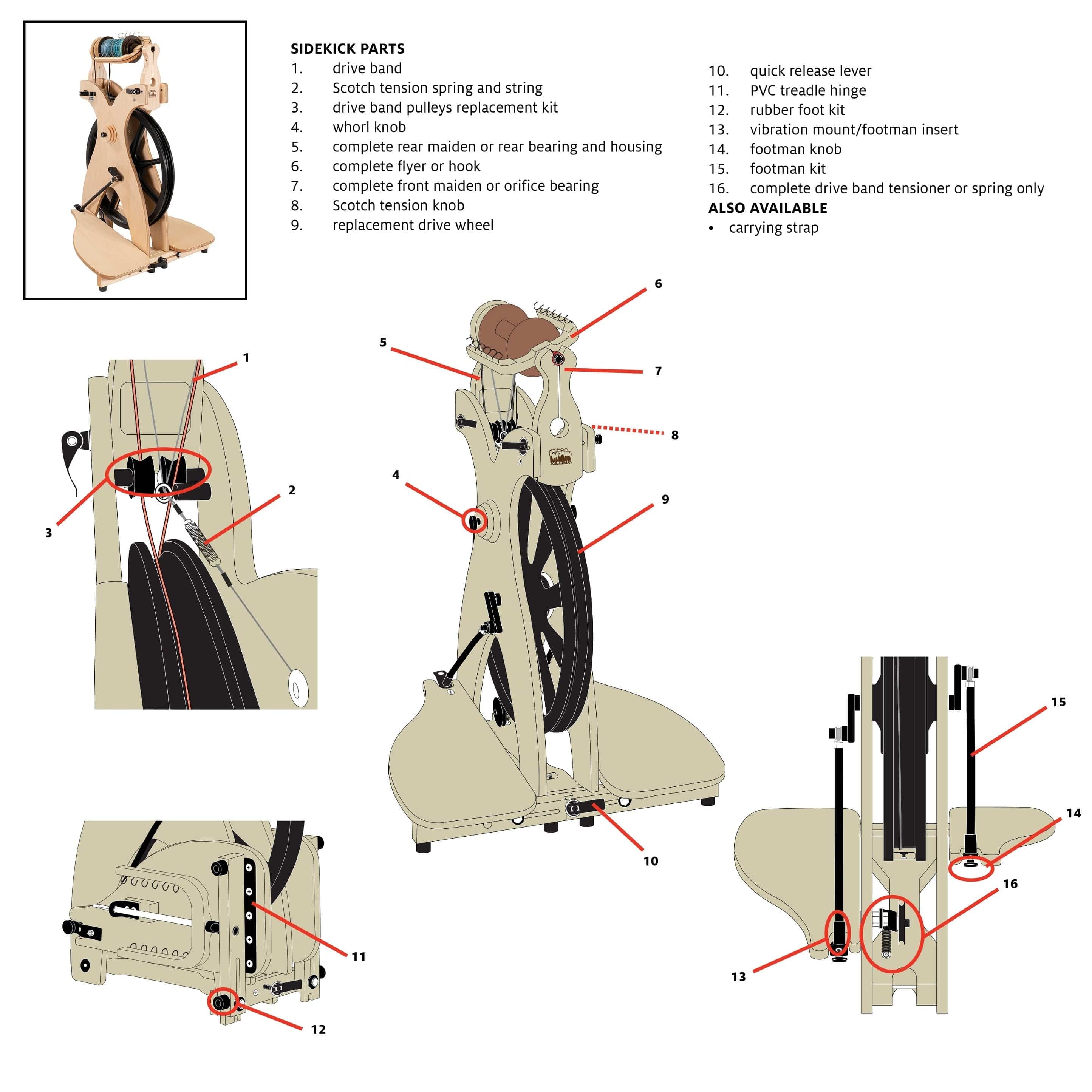 Slide image