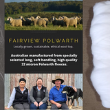 Polwarth Combed Top