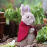 Knitting Peter Rabbit by Clair Garland